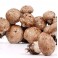 Dennree ciuperci champignon brown 250 g