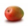 Mango bio, aprox 350 gr/buc, Israel Clasa I,