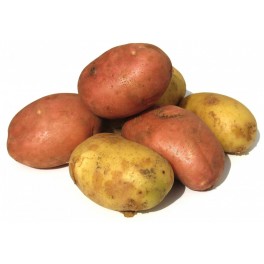 Cartofi bio DEMETER- Germania cal I